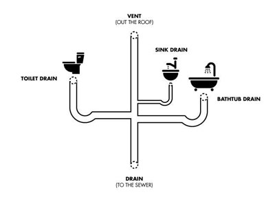 Can A Toilet And Shower Share The Same Drain