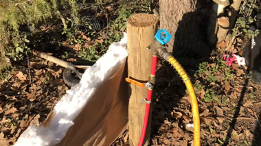 can pex pipe freeze