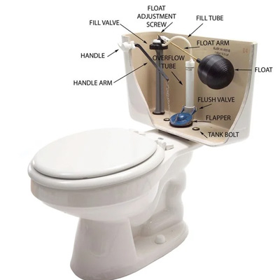 parts of toilet